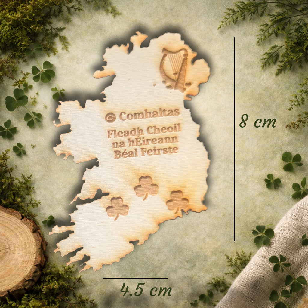 Comhaltas Fleadh Cheoil Ireland Béal Feirste / Belfast Fridge Magnet